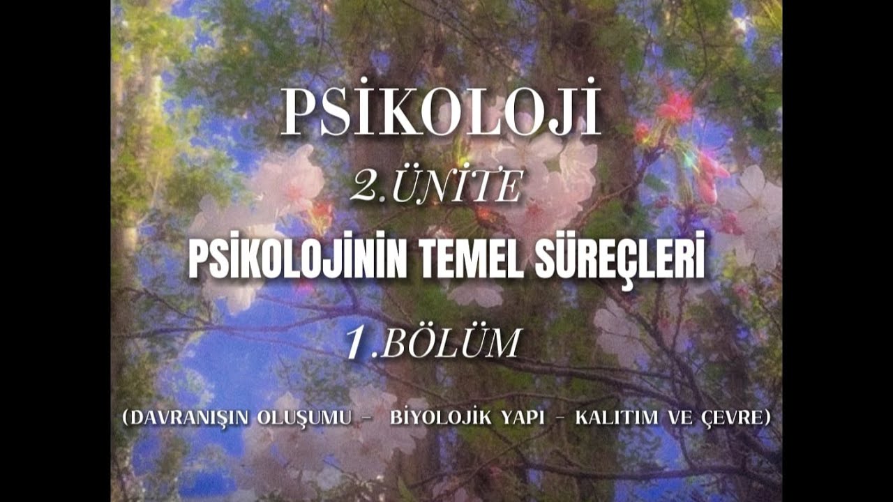 Psikoloji 2 ünite 1 Bölüm Youtube