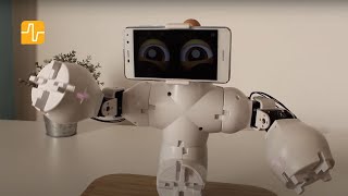 How to build a simple Social Robot