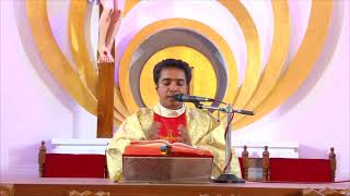 Easter Holy Mass  | പാതിരാ കുർബാന | OLPH CHERANELLOOR  |  12 April 2020