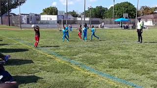 'El Falcon' 7 Yrs Old Owasi Hannibald U8 Soccer