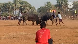 first  semi final kada ropok jabardast  telopara maidan ka kalda barheit(√) v/s(×) kenelnala