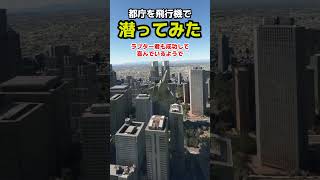 都庁の間を飛行機はする抜けられるのか？試してみた #飛行機 #msfs2020 #戦闘機