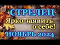 СТРЕЛЕЦ - ТАРО ПРОГНОЗ на НОЯБРЬ 2024 - ПРОГНОЗ РАСКЛАД ТАРО - ГОРОСКОП ОНЛАЙН ГАДАНИЕ