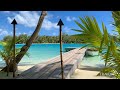 Walking | Exploring | Motu Tane, Bora Bora, French Polynesia 🇵🇫 | 4K Travel