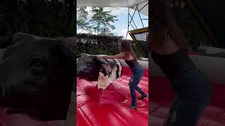 Sophiemudd Trending Short Video