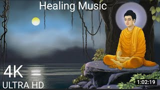 Meditation Music pk | Snowfal NATURE Videos | Relaxing Music | soothing sounds | & sleeping Music