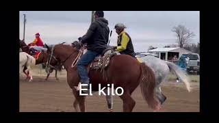 El asil vs el kilo