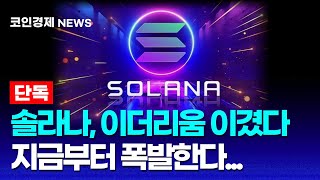 [솔라나 코인] 올해 수수료 매출로 이더리움 제치고 2위 등극! 제2의 이더리움으로 부상하나?