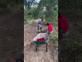 BABA Hazvi namai Hazvi ~~Kudzingiswa
