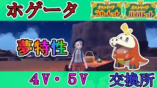 【ポケモンSV】ホゲータ夢特性５V・４V以上交換会！