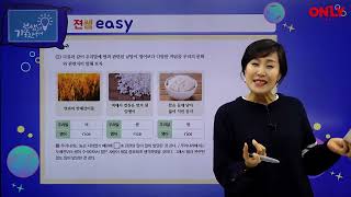 [중1국어] 어휘의 체계 - 온리원 김지연 선생님