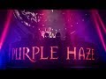 Purple Haze plays 'Fisherman - X' (Live at Transmission Shanghai 2018)