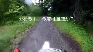 0802　栗原川林道　沼田ルート