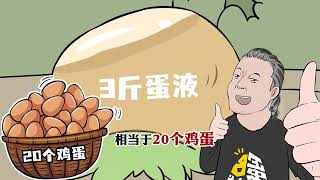 养一只鸵鸟居然这么值钱？是我低估它了！