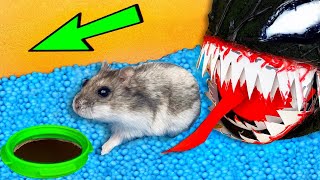 🚀 💀 VENOM Hamster Maze with Traps 😱[OBSTACLE COURSE]😱