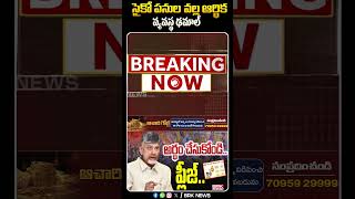 సైకో పనులవల్ల ఆర్థిక వ్యవస్థ ఢమాల్ | #cmchandrababu #tdp #ysjagan #ycp #shorts #politics #brknews