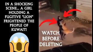 In a shocking scene... a girl holding a fugitive "lion" frightened the people of Kuwait!