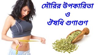 মৌরির উপকারিতা ও ওষধি গুণাগুণ | Health Benefits Of Fennel Seeds