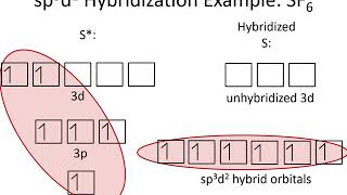 5.2C-Hybridization Examples sp3d sp3d2 Lone Pairs