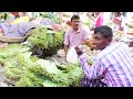 amazing rural vegetable market in bangladesh village market bera cutur haat