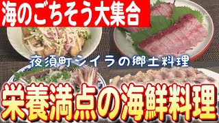 海の幸フルコース！栄養満点の海鮮料理を堪能しよう！ 日本財団 海と日本PROJECT in 高知県  2023 #b02