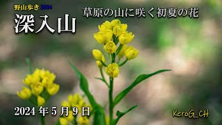 insta360X4【深入山－草原の山に咲く初夏の花－】野山歩き2024