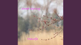 Sweet Spring