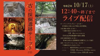 【ライブ配信】シンポジウム「古の採掘遺跡サミット」