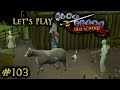Old School RuneScape #103 - Animal Magnetism Part 1