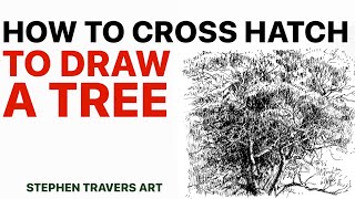 How to Cross Hatch to Draw A Tree