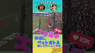 【本当にいい人】大山選手、お客さんのペットボトルを立て直していく（2024年8月9日 阪神－広島）#サンテレビボックス席