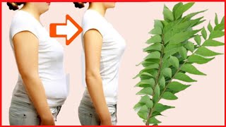 Curry Leaves for Weight loss fast | Quick weight loss tips | How to lose weight with curry leaves