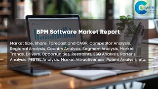 BPM Software Market Report 2024