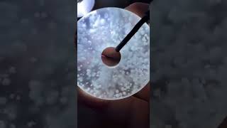 一位朋友送了一件雪花棉平安扣过来，我怎么看着像假的一样呢？是不是美的太假了呢？#jadeite #陈家艺术翡翠