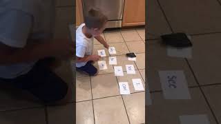 Fly swatter sight word practice