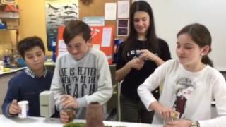 Volcanoes and tectonic plates & Science fair