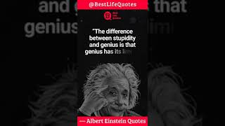 The difference between stupidity... | Albert Einstein Quotes | #shorts #quotes #status #motivation