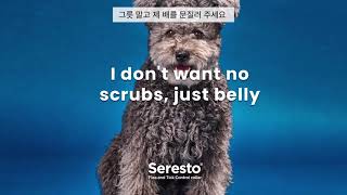 강아지? 수세미? | 세레스토 (Seresto)