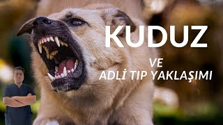 KUDUZ VE ADLİ TIP YAKLAŞIMI