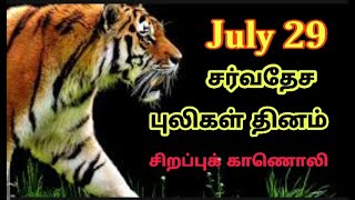 International Tiger's Day Special in Tamil | சர்வதேச புலிகள் தினம் | #ChitChat | #Tiger