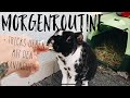 Morgenroutine bei den Kaninchen🐰 + Tricks üben