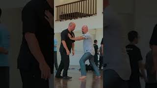 Tai Chi Master demonstrates impressive internal power when pushing hands - Adam Mizner
