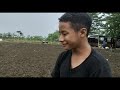 PEMUPUKAN DASAR DAN OLAH LAHAN PORANG