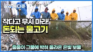 어부들이 가장 고되다고 말하는 곳 기장군 대변항│멸치 잡다가 사람 잡는다는 악명 높은 멸치잡이│한국기행│#골라듄다큐