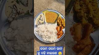 ଗରମ ଭାତ କୁ ଦହି ବାଇଗଣ ଓଃ କି ମଜା