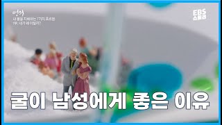 👍👍👍굴이 남성에게 좋은 이유, 석류가 여성에게 좋은 이유 #명의 #호르몬