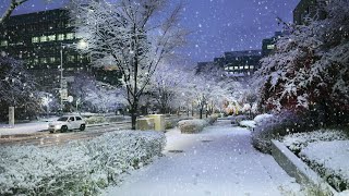 Heavy Snowfall in SEOUL, Samsung Electronics R\u0026D Campus snowfall, Seoul Travel Walker.