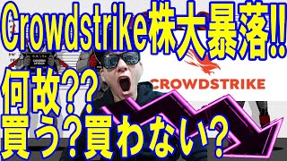 Crowdstrike株1日で15％の下落!何故!?買うべきか、買わないべきか？を解説します!米国個別株銘柄を深堀解説しています!