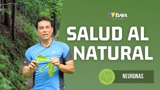 SALUD AL NATURAL - Neuronas