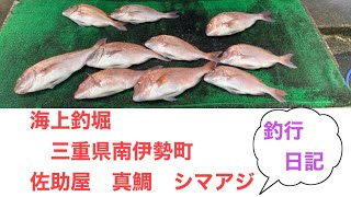 海上釣堀/三重県南伊勢町/佐助屋/真鯛/シマアジ/釣り